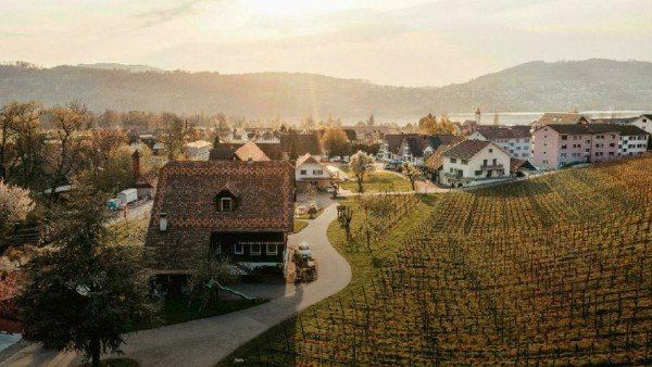 Weingut Klosterhof