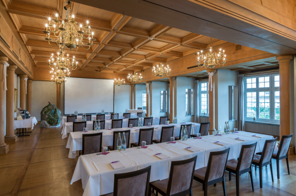 Schloss Laufen am Rheinfall