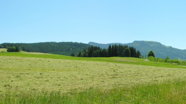 Ferienhaus Hinterberg