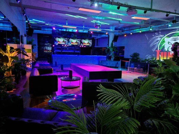 The Jungle Eventlocation - Zürich