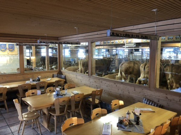 Michel's Stallbeizli Gstaad