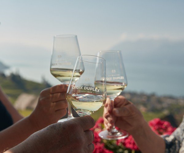 Domaine Croix Duplex