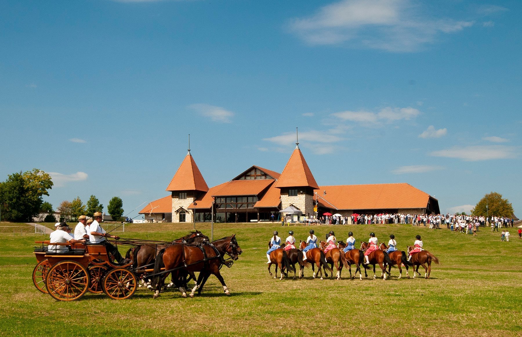 Halle du Marché-Concours