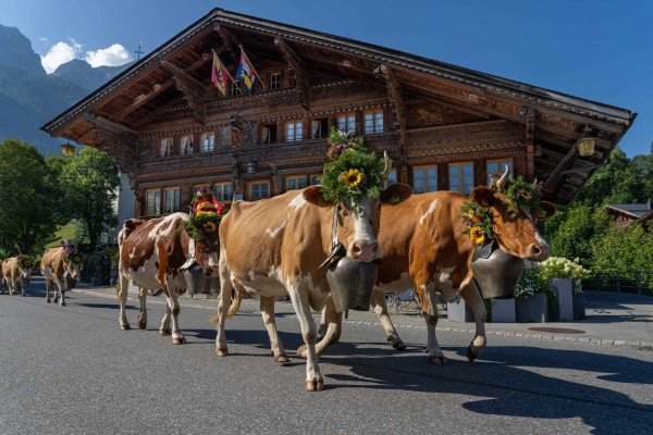 Hotel Restaurant Bären Gsteig