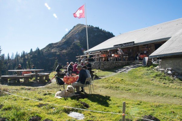 Berggasthaus Oberstockenalp