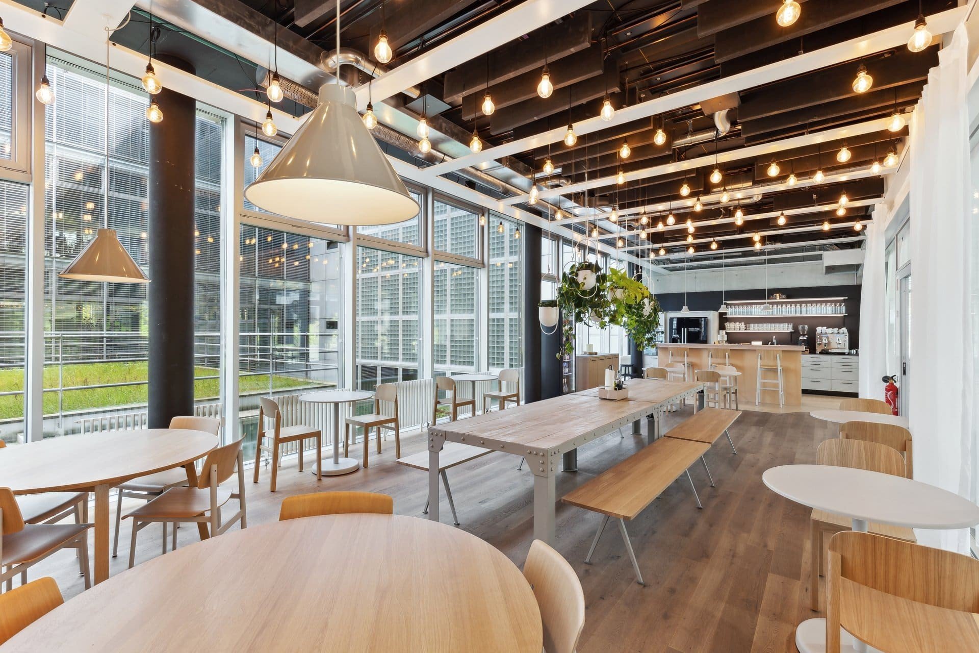 FlexOffice Zürich Dino