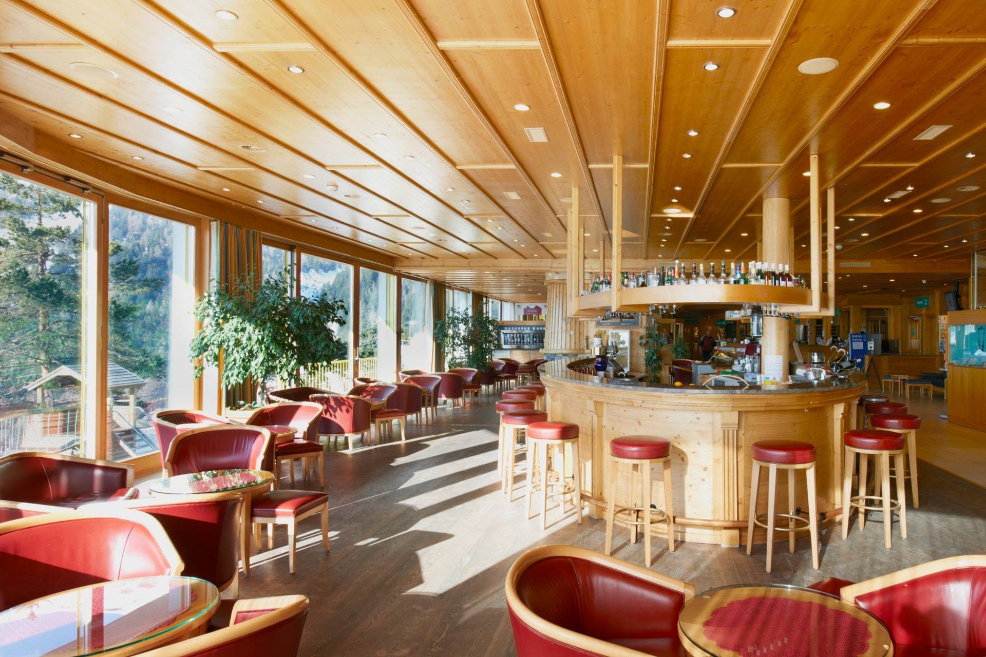 Hotel Les Bains d'Ovronnaz