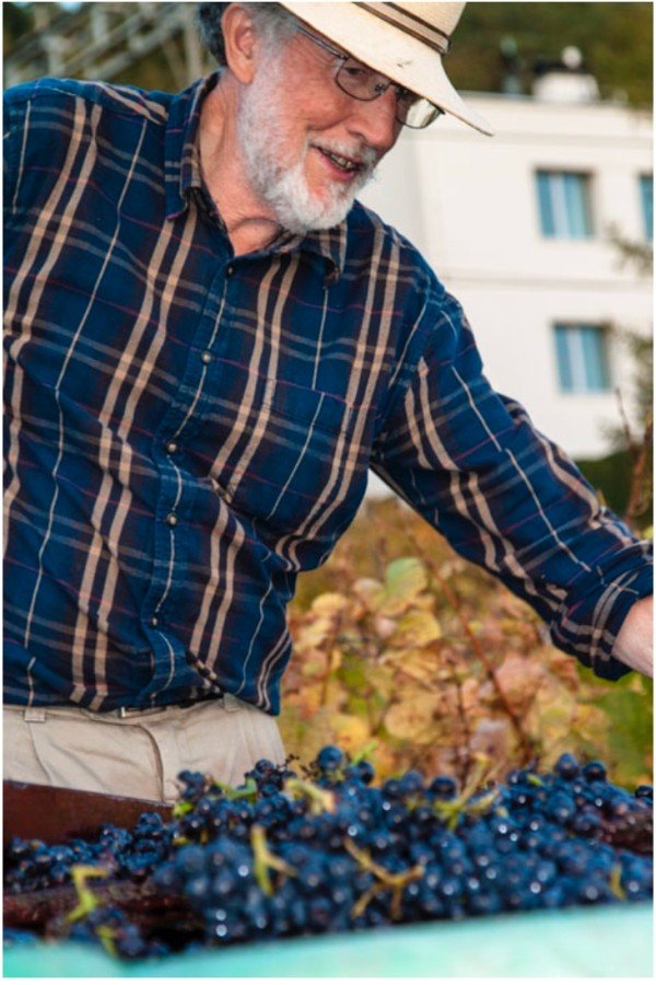 Weingut SCHIPF