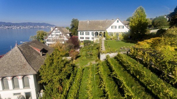 Weingut SCHIPF
