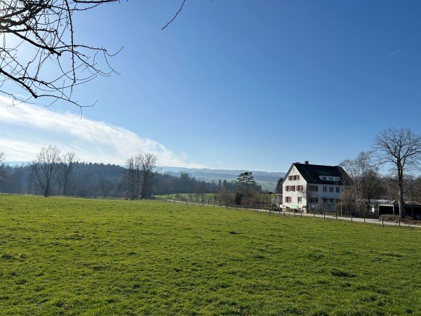 Murimoos - Direktorenhaus