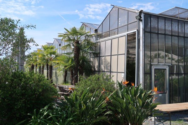 Orchideenhaus - Müller Steinmaur