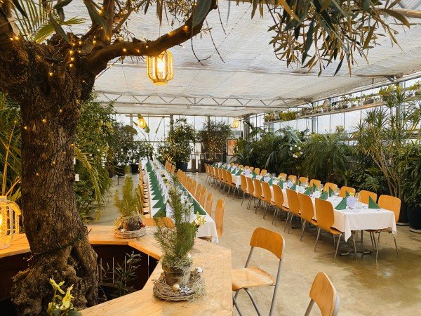 Orchideenhaus - Müller Steinmaur