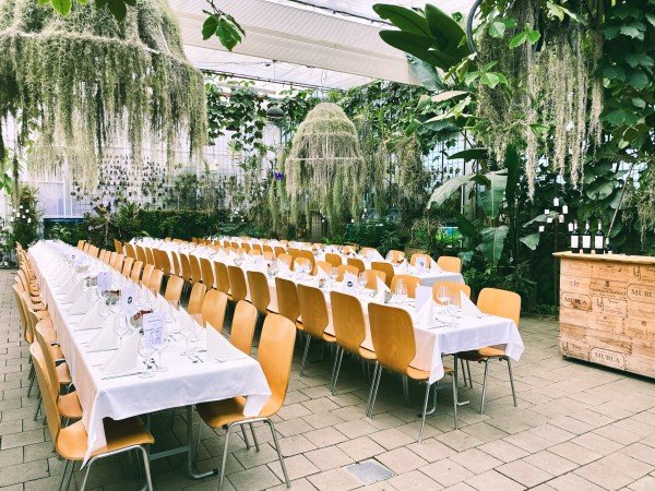 Orchideenhaus - Müller Steinmaur