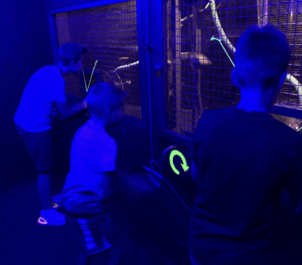 Adventure Arena Zürich