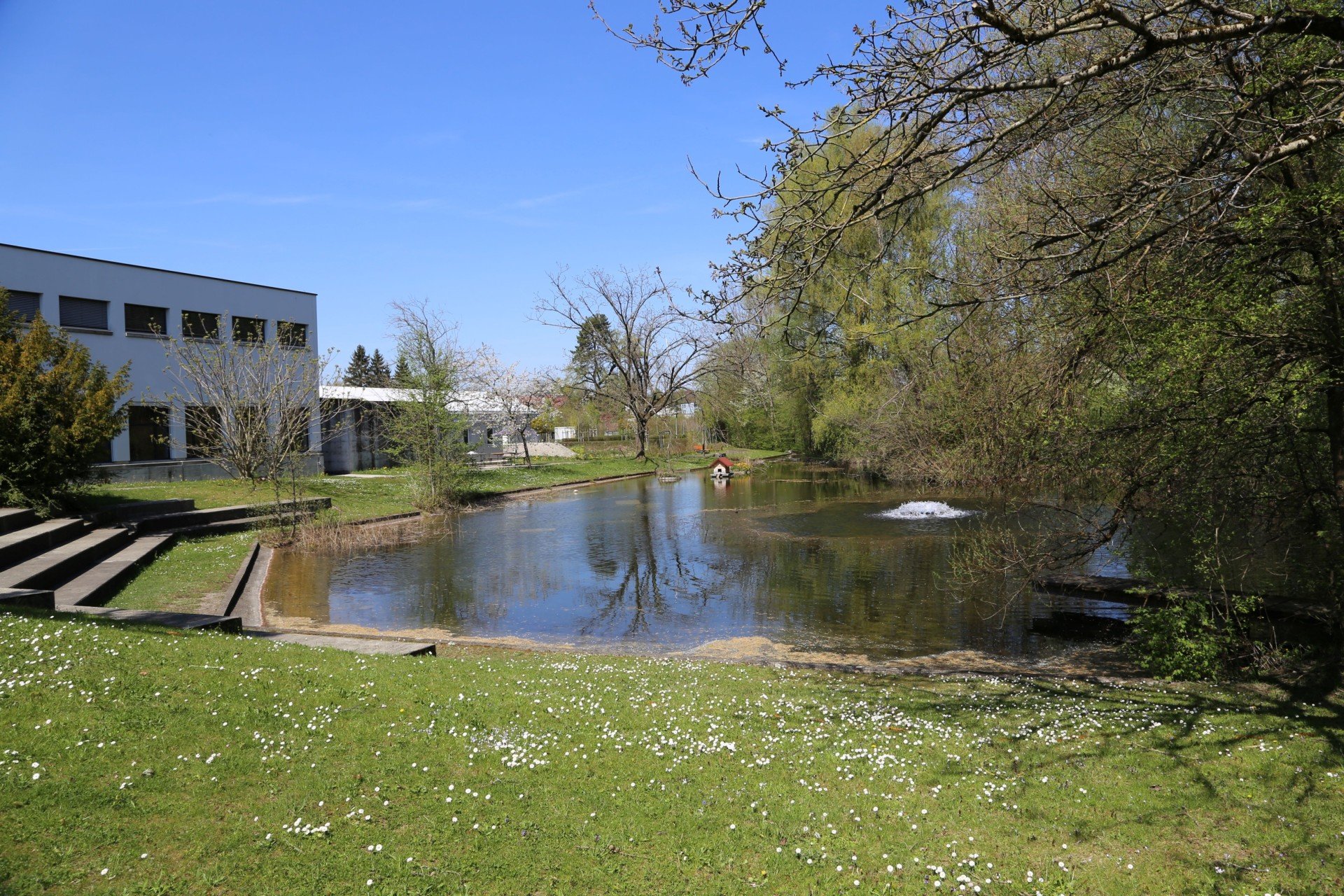 Baumeister Kurszentrum Effretikon