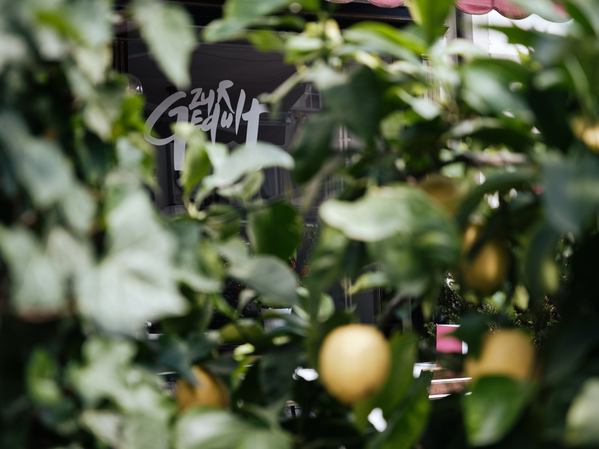 Restaurant Zur Gedult