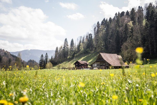 Restaurant Sihlmatt