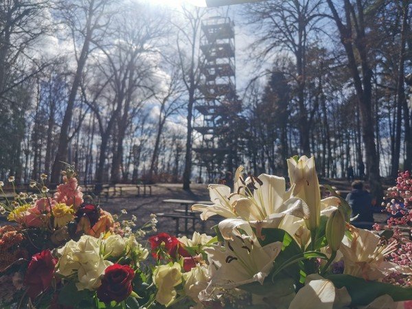 Restaurant Beringer Randenturm