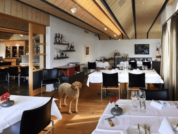 Restaurant Panorama / Panoteca