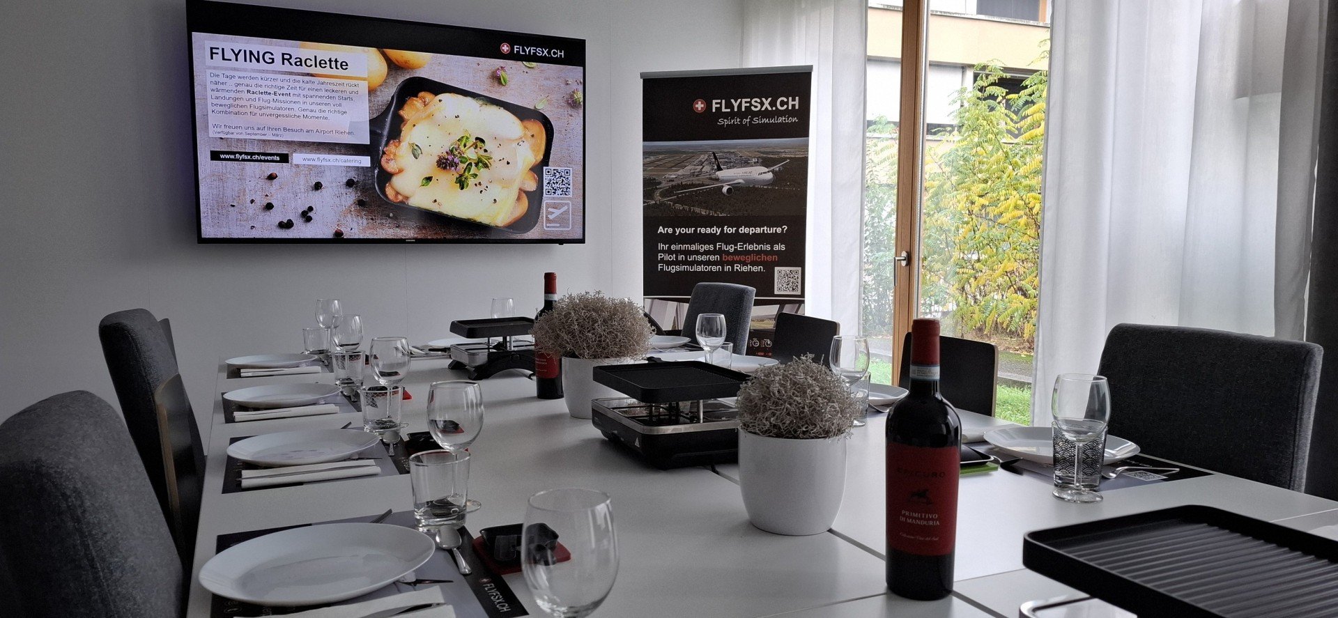 FLYFSX.CH // International Airport Riehen