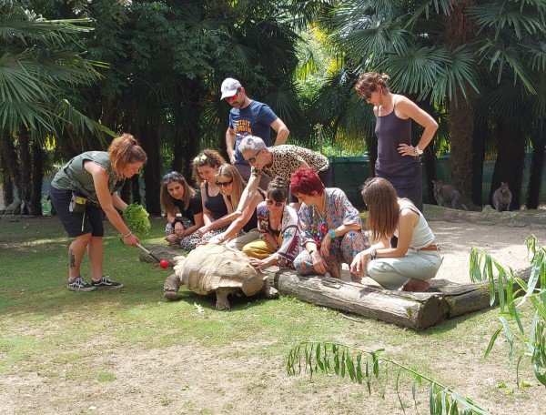 Erlebnislocations, Zoo al Maglio