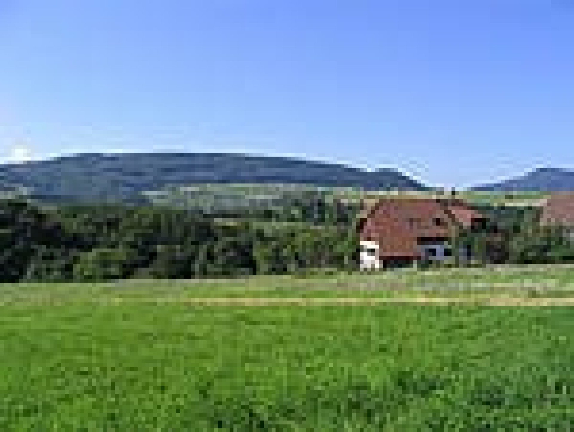 Mehrzweckhalle Anwil