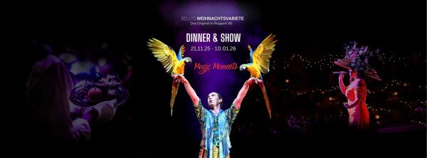 Bellis Weihnachtsvariete