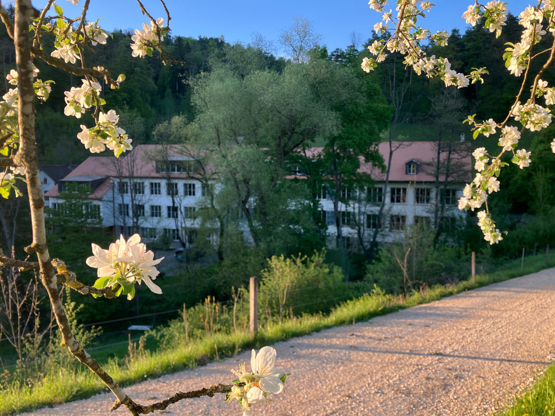 Impulszentrum Holdenweid