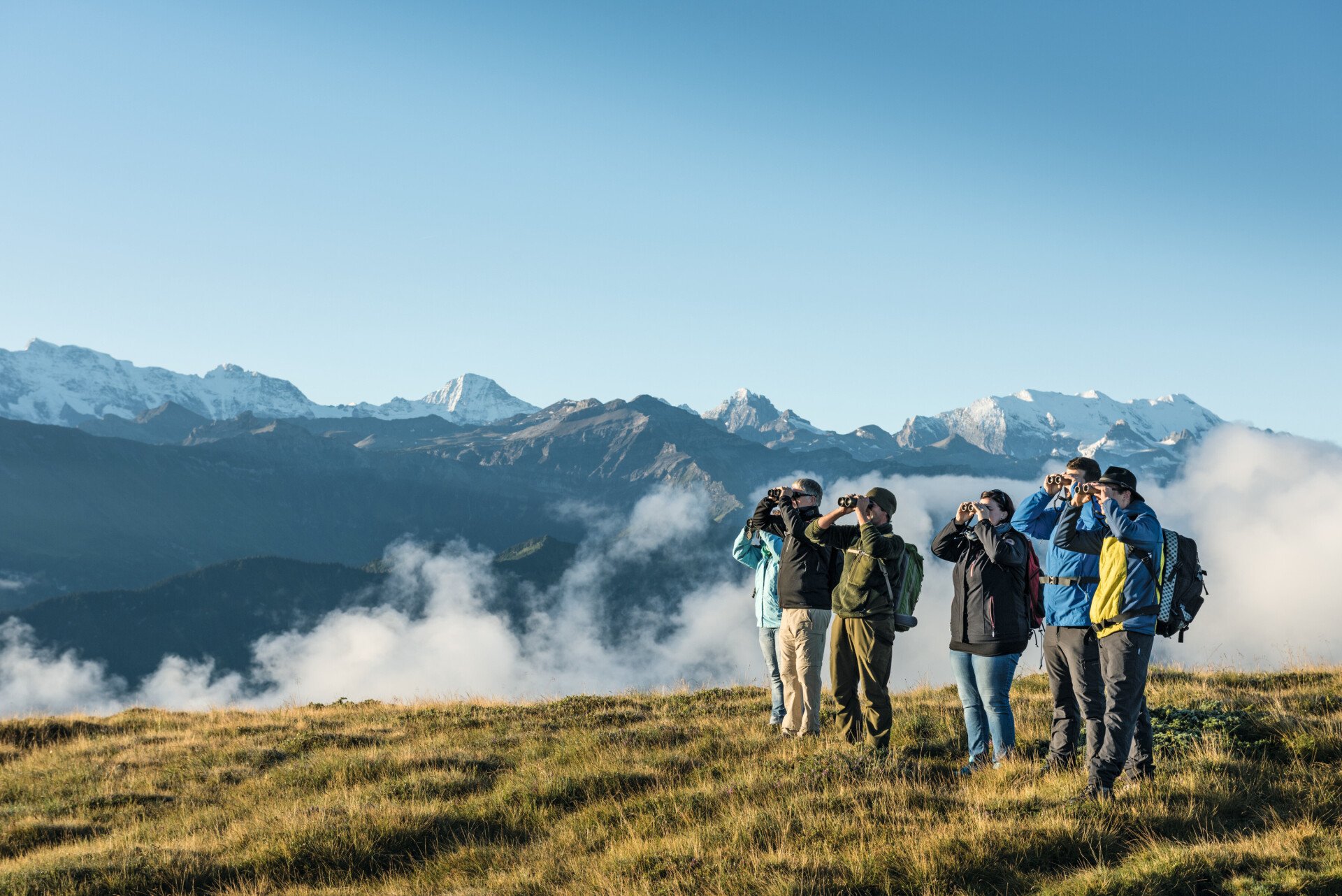 Auszeit am Niederhorn