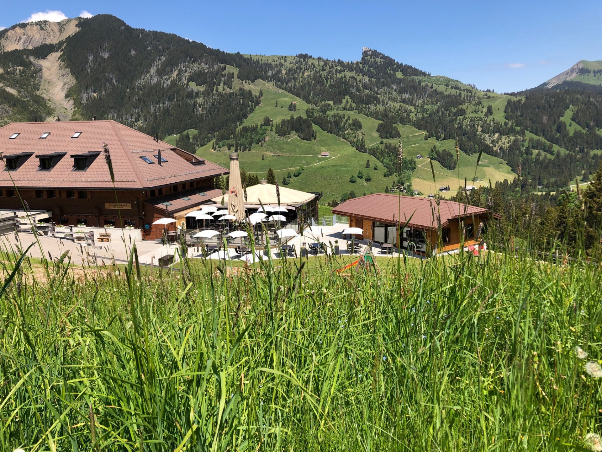 Skihütte & Alphotel Schwand