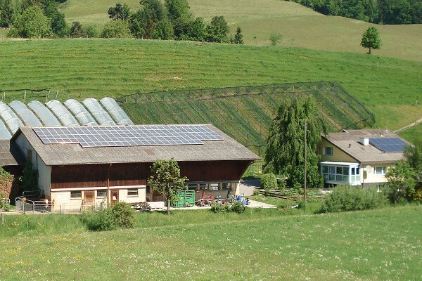 Willisauer Pausenhof