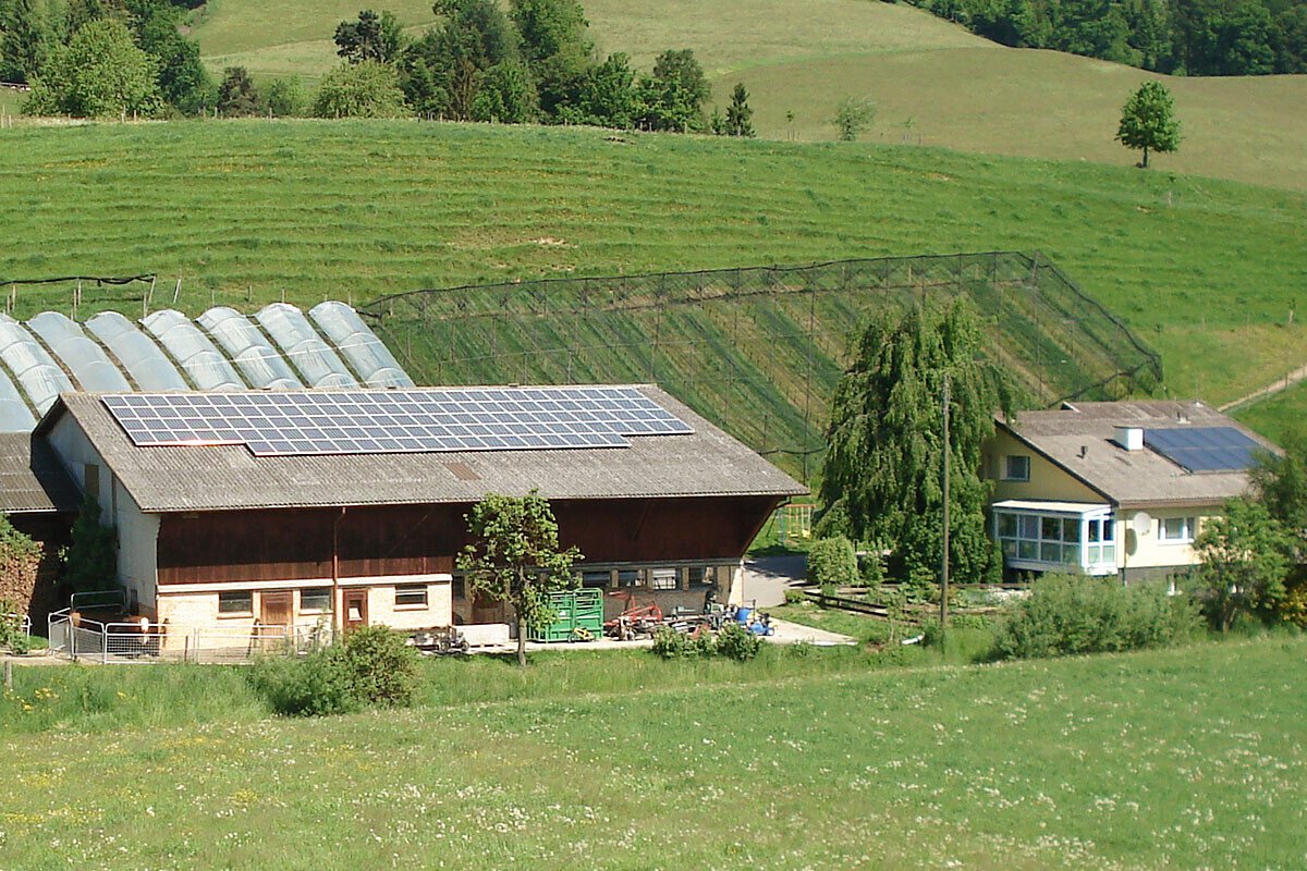 Willisauer Pausenhof