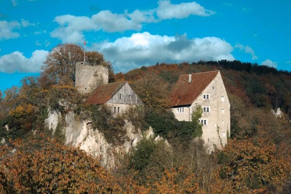 Chateau de Pleujouse