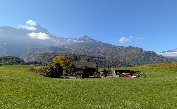 Domaine Le Luissalet