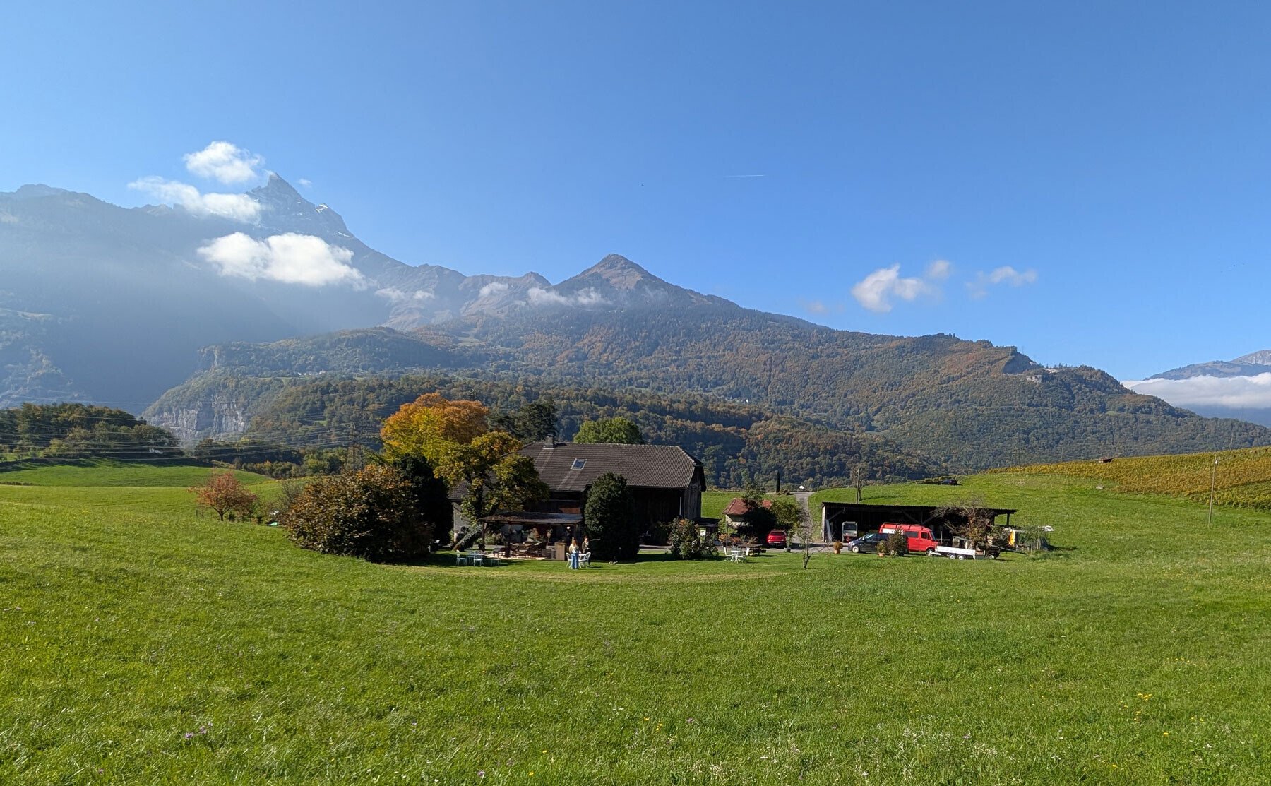 Domaine Le Luissalet