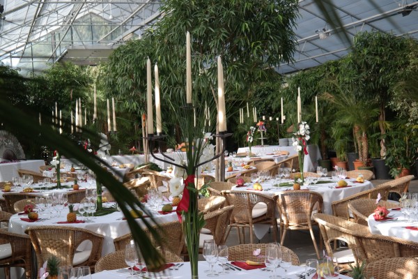 Blumenland Schweiz AG - 'Paradies zum Mieten'