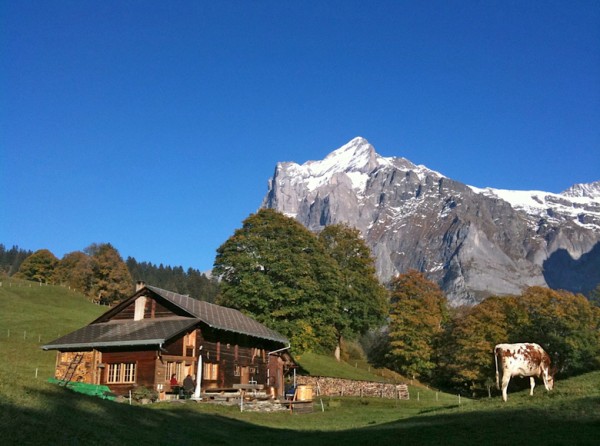 Alphütte "YETI"