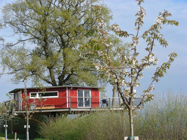 Baumhaus & Archehof