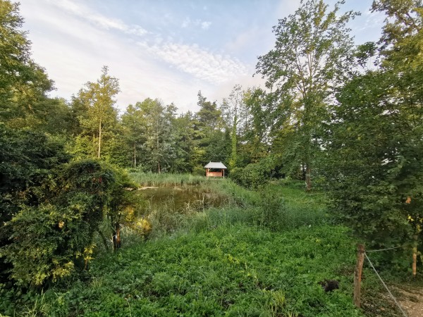 Von Rütte-Gut