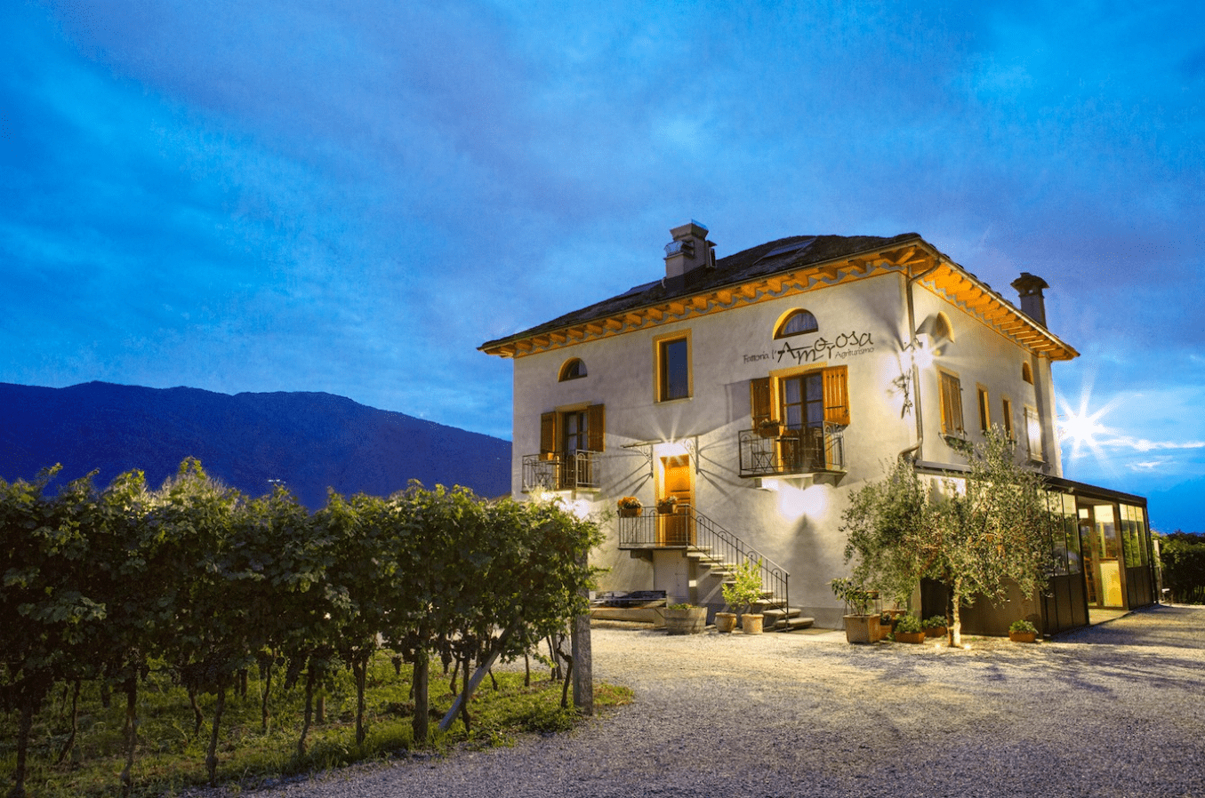 La Fattoria l'Amorosa