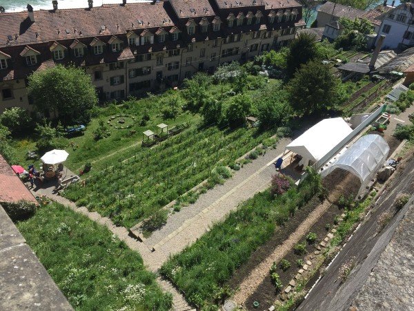 Stiftsgarten Bern