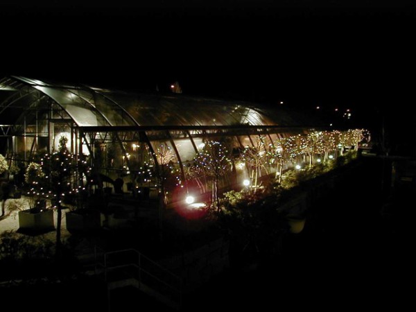 Glashaus Mettmenstetten